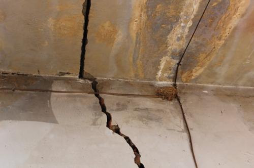 1531879356611981.jpg 4.jpg